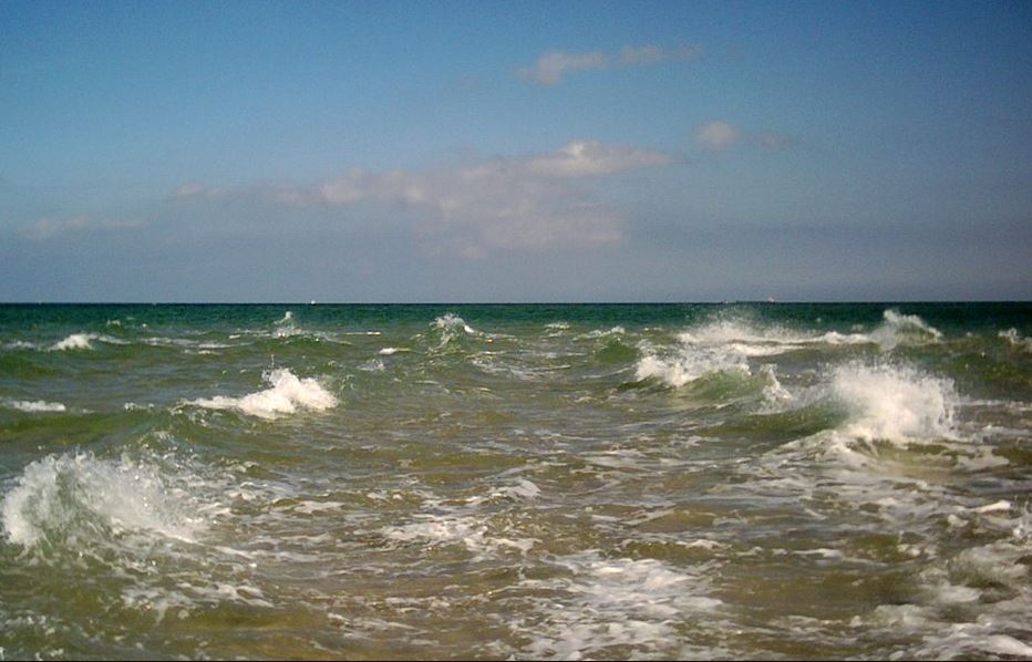 Read more about the article Coastal Waves in the Baltic Sea