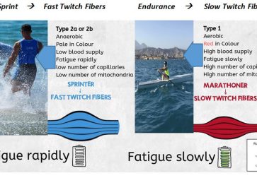 Beach Sprint or Endurance muscles What kind of rower are you