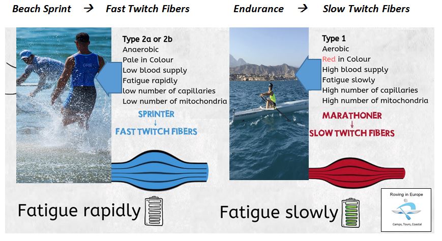 Beach Sprint oder Endurance Training - welcher Typ bist du