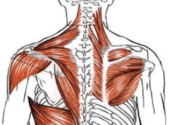 Rudern und Flexibilität – Der Brustwirbelbereich